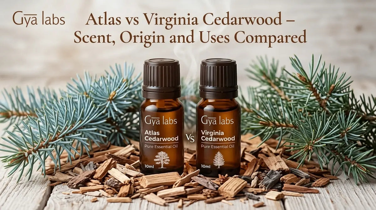 Atlas vs Virginia Cedarwood