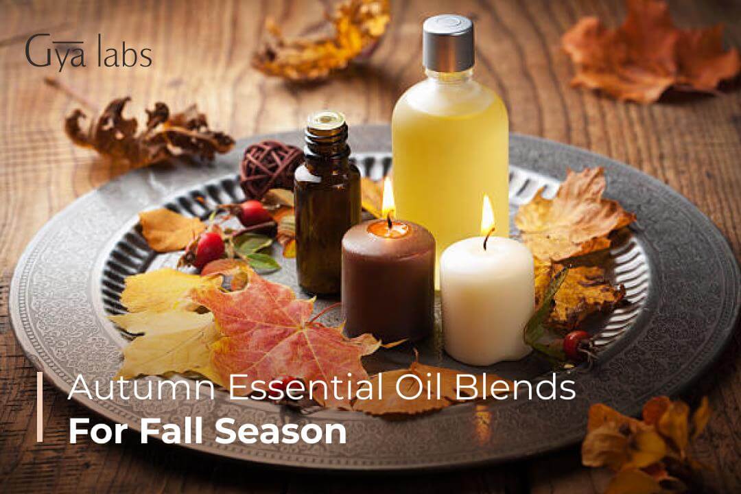 Autumn Essential Oil Blends for this Fall Season | Fall Essential Oil Diffuser Blend Recipes | GyaLabs