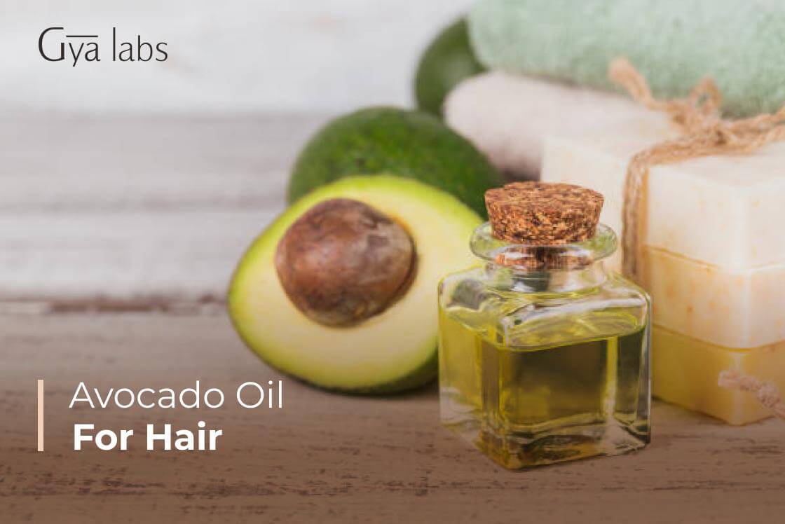 Avocado Oil For Hair : Benefits And Uses | GyaLabs