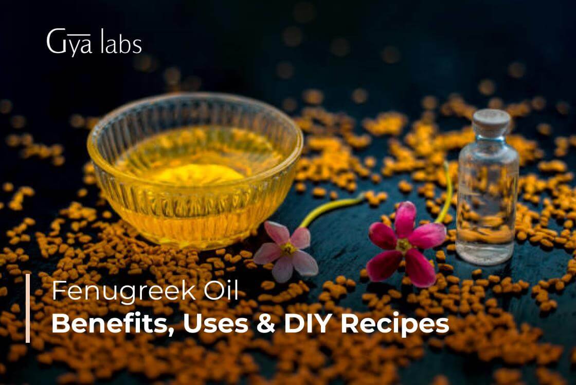 How To Use Fenugreek Oil, Benefits Of Fenugreek Oil, DIY Fenugreek Oil Recipes, Etc.