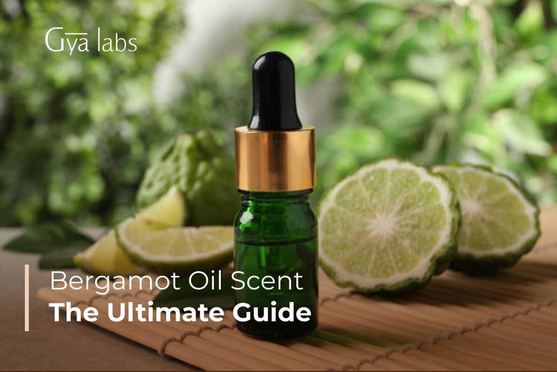 Bergamot Scent: What Does Bergamot Essential Oil Smell Like? | GyaLabs