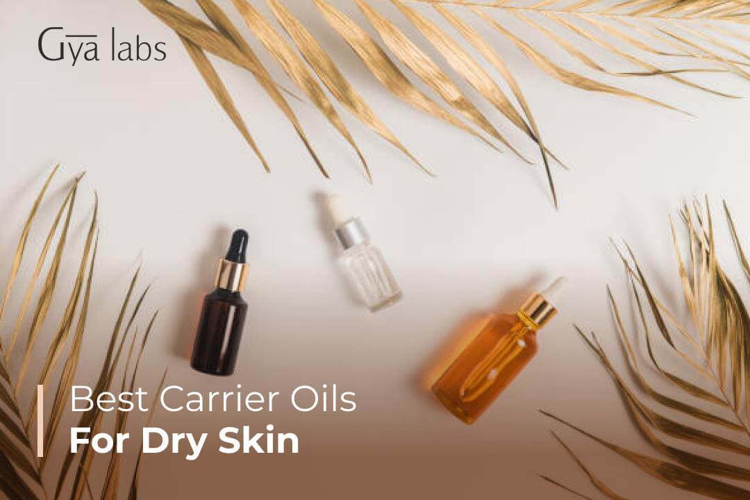 Best Carrier Oils For Dry Skin