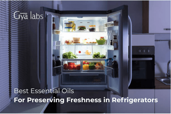DIY Fridge Freshening: Best Essential Oils for Preserving Freshness in Refrigerators | GyaLabs