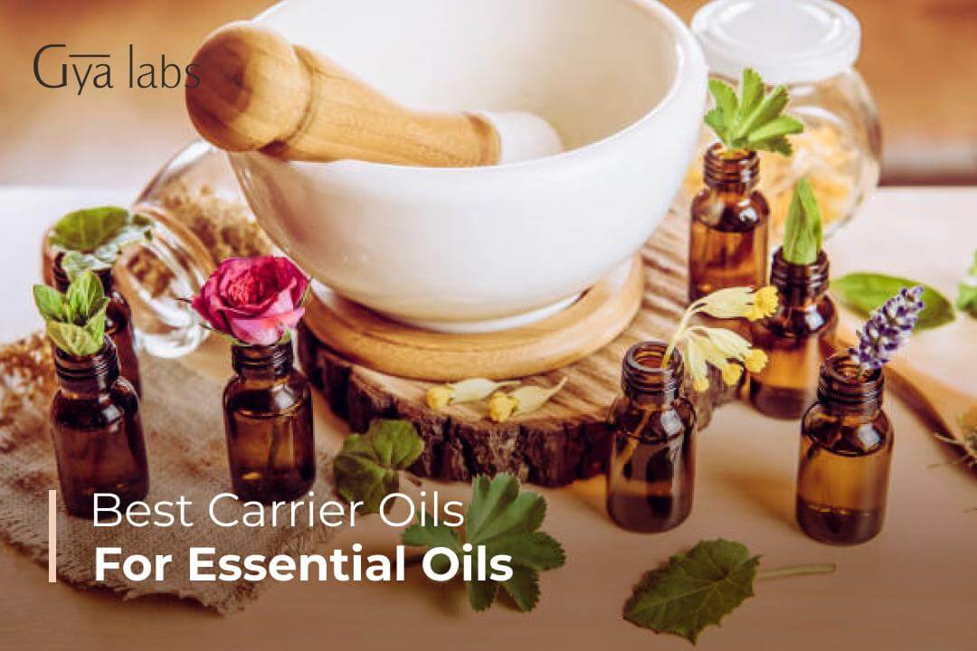 Choose the Best Carrier Oils for Essential Oils & Explore the World of Aromatherapy | GyaLabs