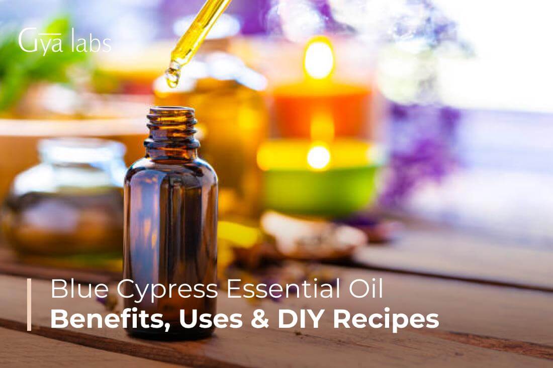 Benefits And Ways To Use Blue Cypress Essential Oil, DIY Recipes, Etc.
