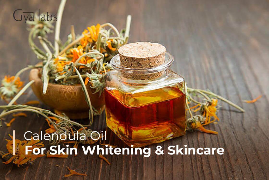 Calendula for Skin Whitening And Skincare | GyaLabs