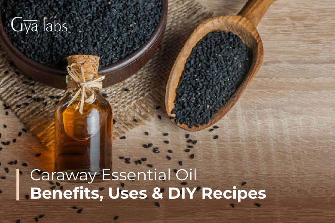 Benefits Of Caraway Essential Oil, Uses, And DIY Recipes | GyaLabs