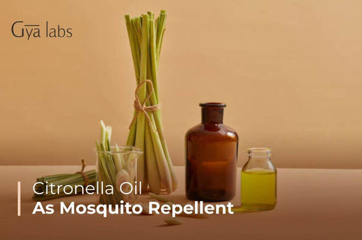 Citronella Oil for Mosquito Repellent