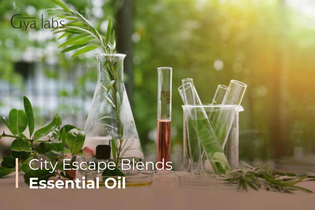 City Escape Essential Oil Blends | Pure Essential Oil Diffuser Blends | GyaLabs