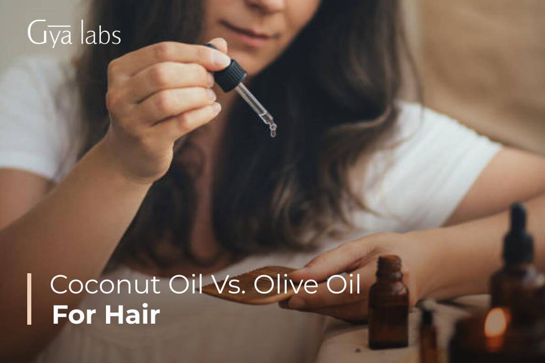 Coconut Oil Vs Olive Oil For Hair | Difference Between Olive Oil And Coconut Oil For Hair | GyaLabs