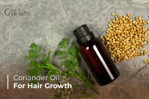 Coriander Oil for Hair Growth