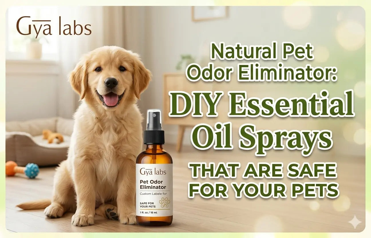 DIY Essential Oil Sprays for Pets