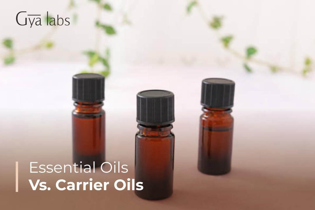 Difference Between Essential Oils And Carrier Oils | Essential Oils Vs Carrier Oils | GyaLabs