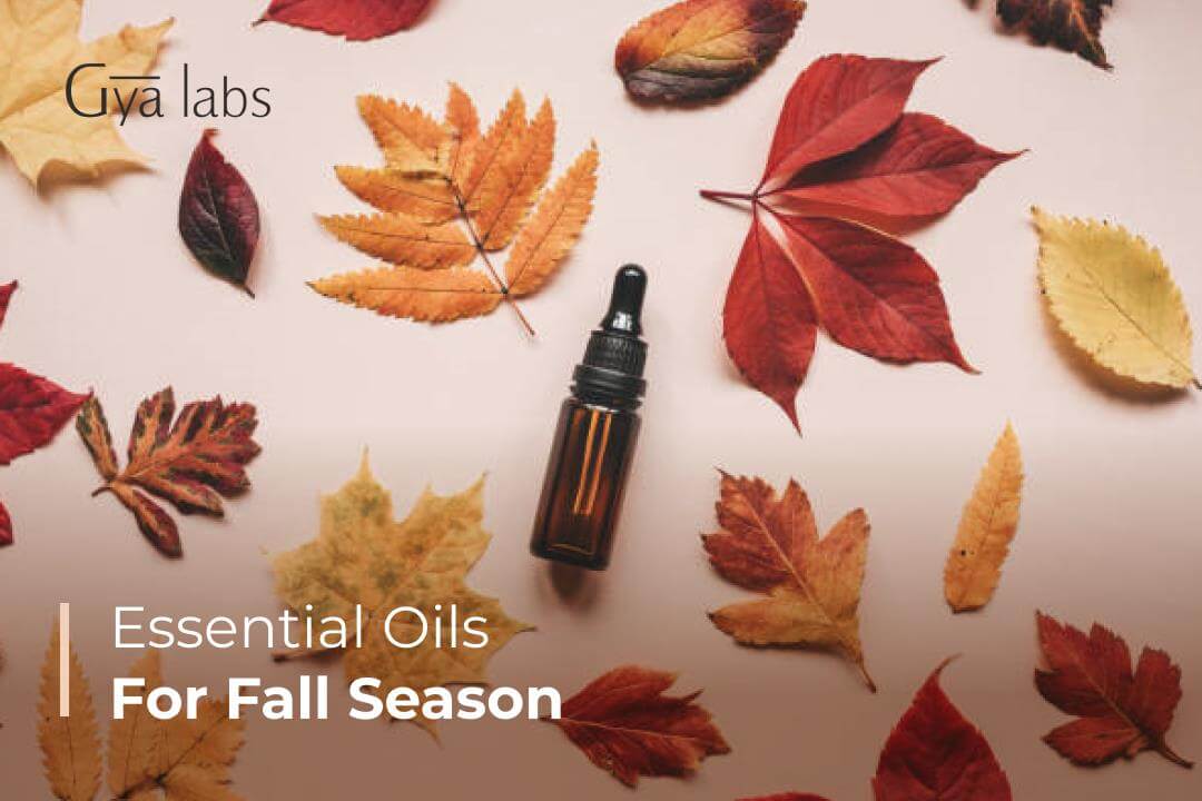 Best Fall Essential Oils | Favorite Essential Oil Diffuser Blends | GyaLabs