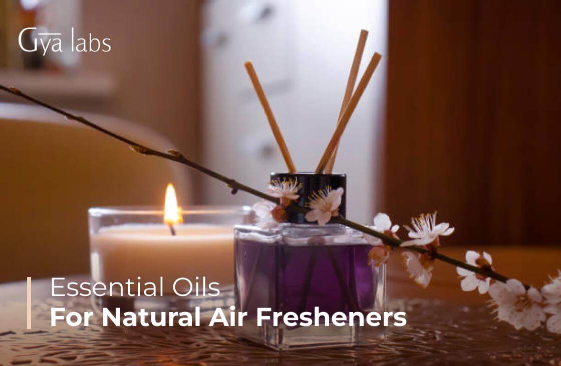 Essential Oils for Natural Air Fresheners: How to Replace Synthetic Fragrance | GyaLabs