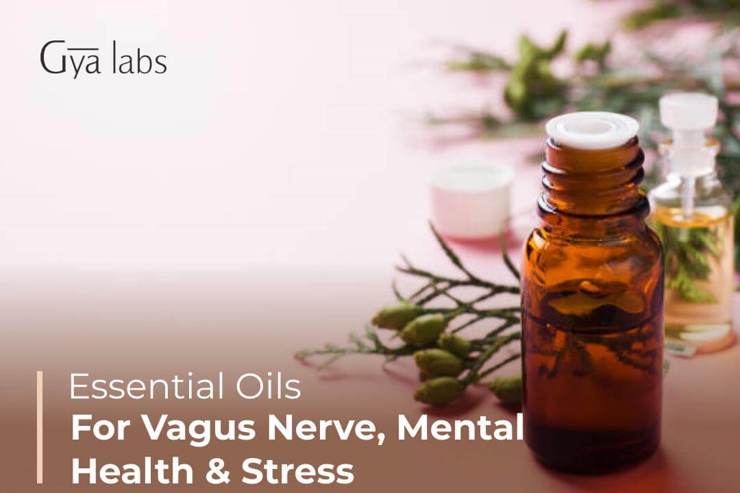 Essential Oils That Stimulate The Vagus Nerve, Promote Mental Health, And Reduce Stress | GyaLabs