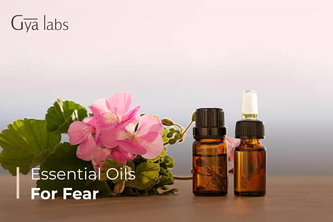 21+ Best Essential Oils for Fear | Use Essential Oils for Anxiety | GyaLabs
