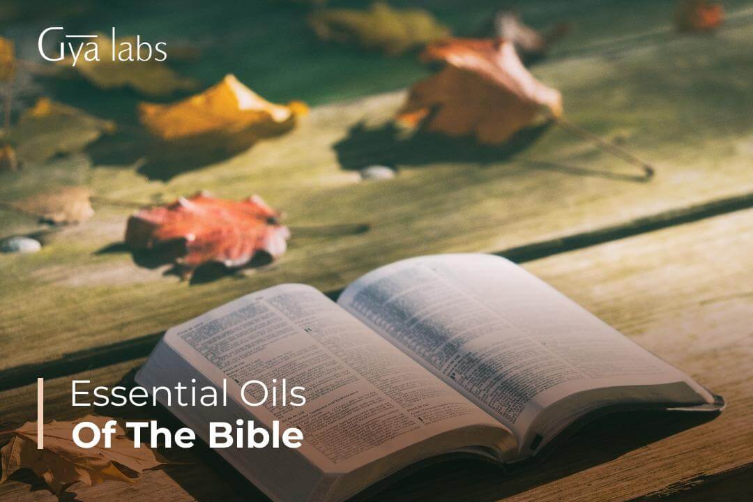 15+ Healing Essential Oils of the Bible