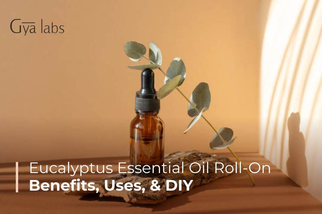 Eucalyptus Essential Oil Roll-On: Benefits of Eucalyptus Oil, Uses, and DIY | GyaLabs