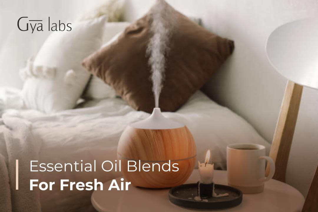Fresh Air Essential Oil Blend: Serene Tranquility with Benefits of Aromatherapy & Purify the Air | GyaLabs