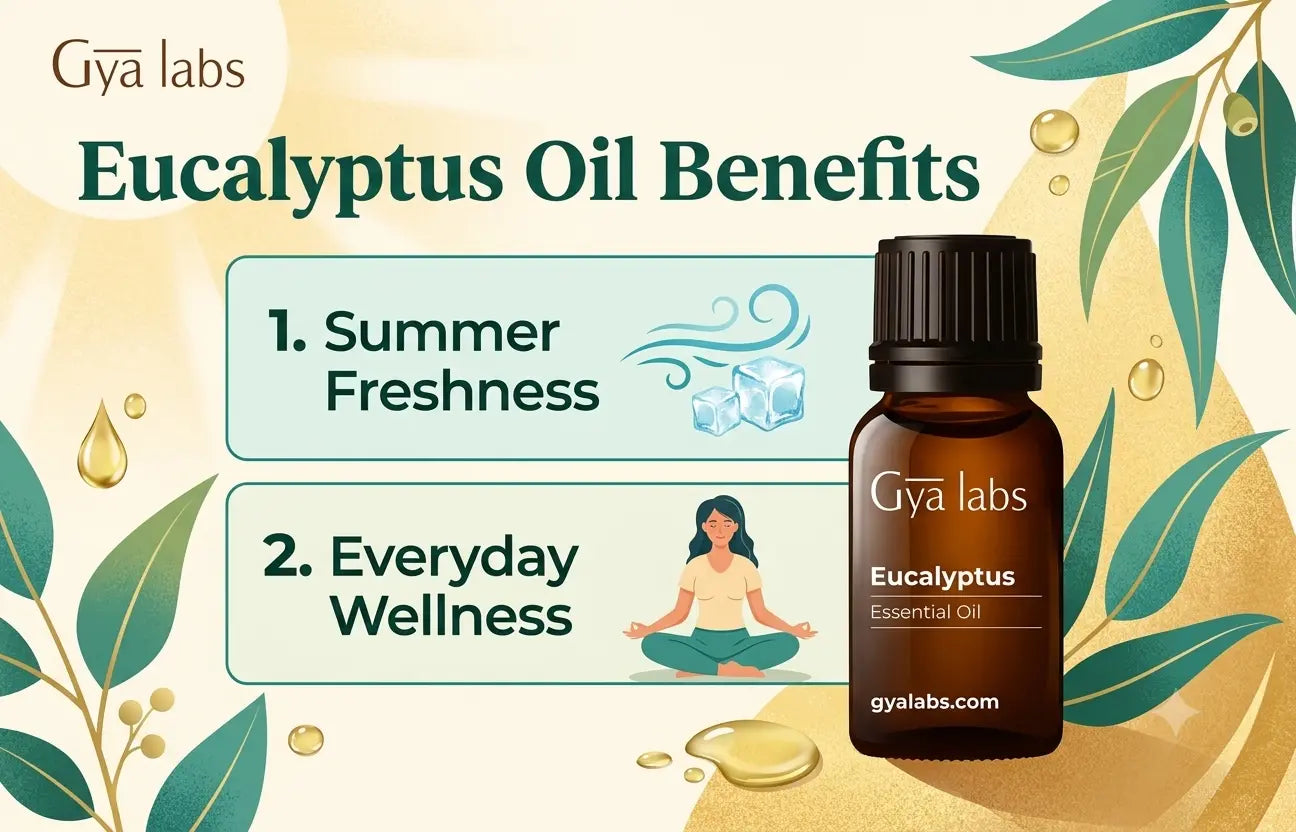 Eucalyptus Oil Benefits for Summer Freshnes