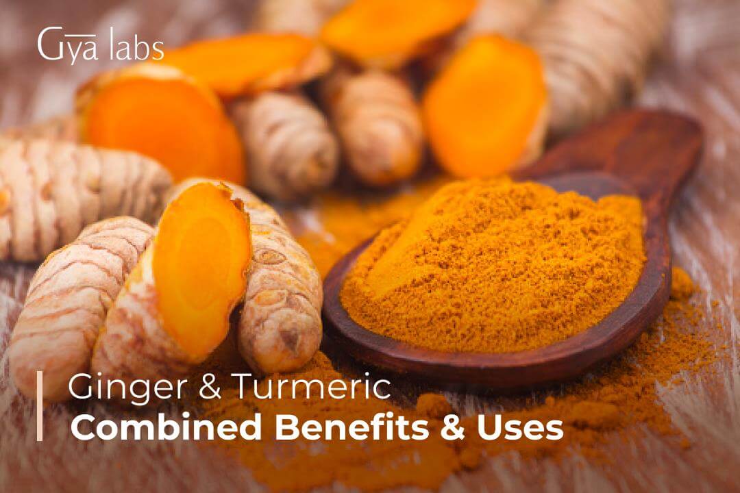 Ginger And Turmeric Combined Benefits - Herbs And Essential Oils (Research Based) | GyaLabs