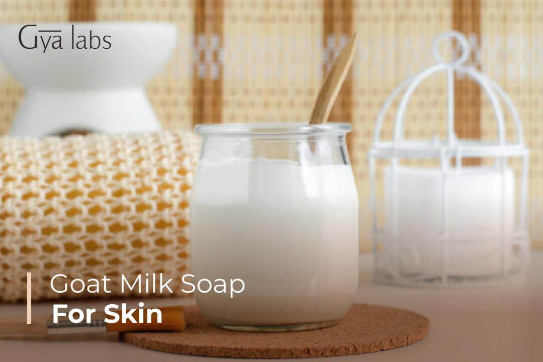 Does Goat Milk Soap Lighten The Skin? Goat Milk Soap Benefits | GyaLabs