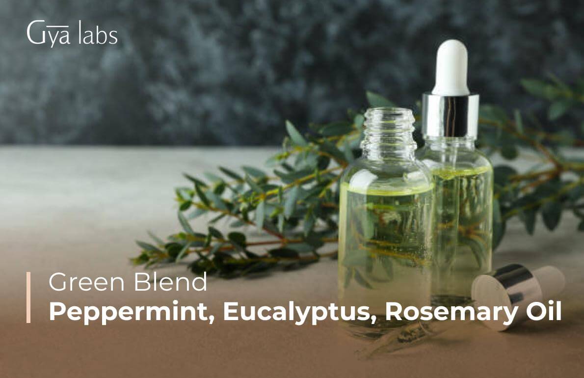 The Green Blend: Peppermint, Eucalyptus, Rosemary Essential Oil Blends | GyaLabs