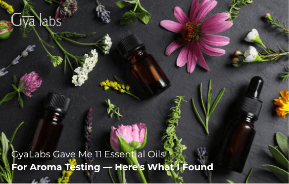 GyaLabs Gave Me 11 Essential Oils For Aroma Testing — Here's What I Found