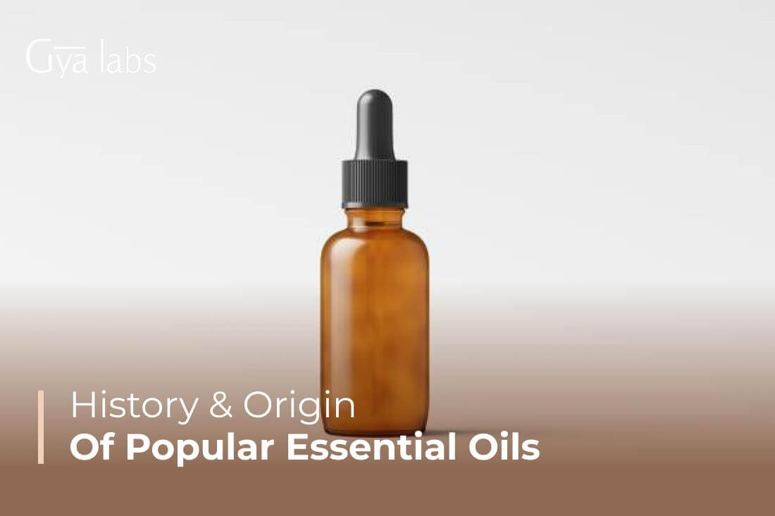 The History and Origin of Popular Essential Oils