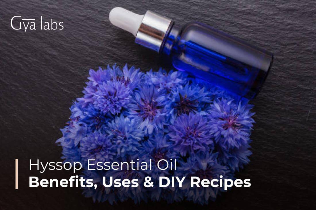 Benefits Of Hyssop Essential Oil, Uses Of Hyssop Oil, And DIY Recipes And Blends