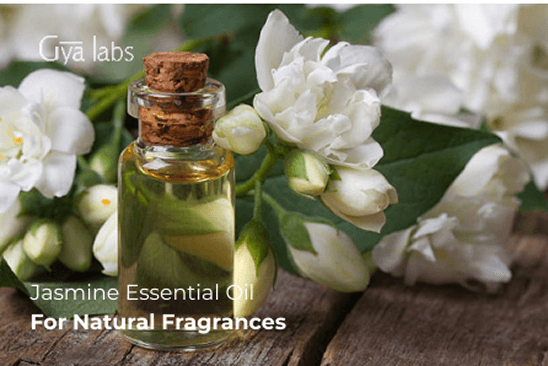 Jasmine Essential Oil for Perfume: DIY Natural Fragrances That Last All Day | GyaLabs