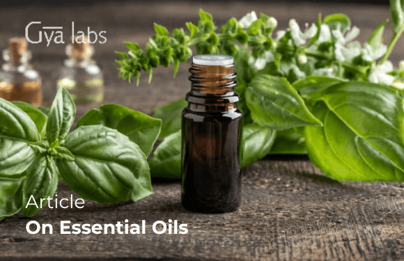 Just Another Boring Article On Essential Oils