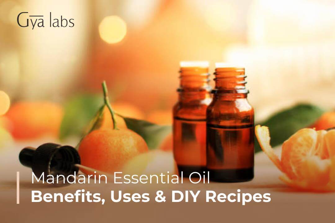 Mandarin Essential Oil Uses And Benefits, DIY Blends & Recipes, Etc. | GyaLabs