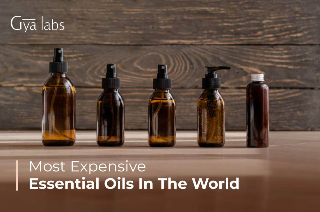 Most Expensive Essential Oils In The World | GyaLabs