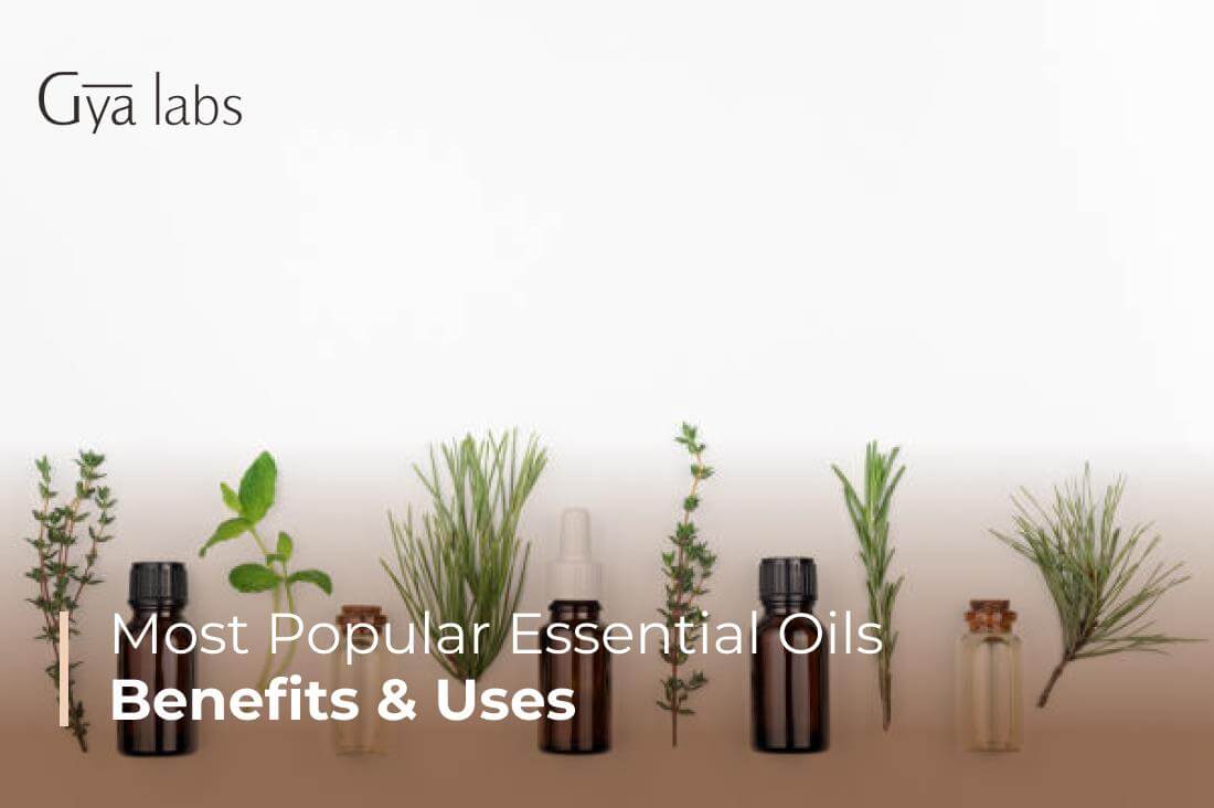 Exploring the Most Popular Essential Oils and Their Uses | GyaLabs