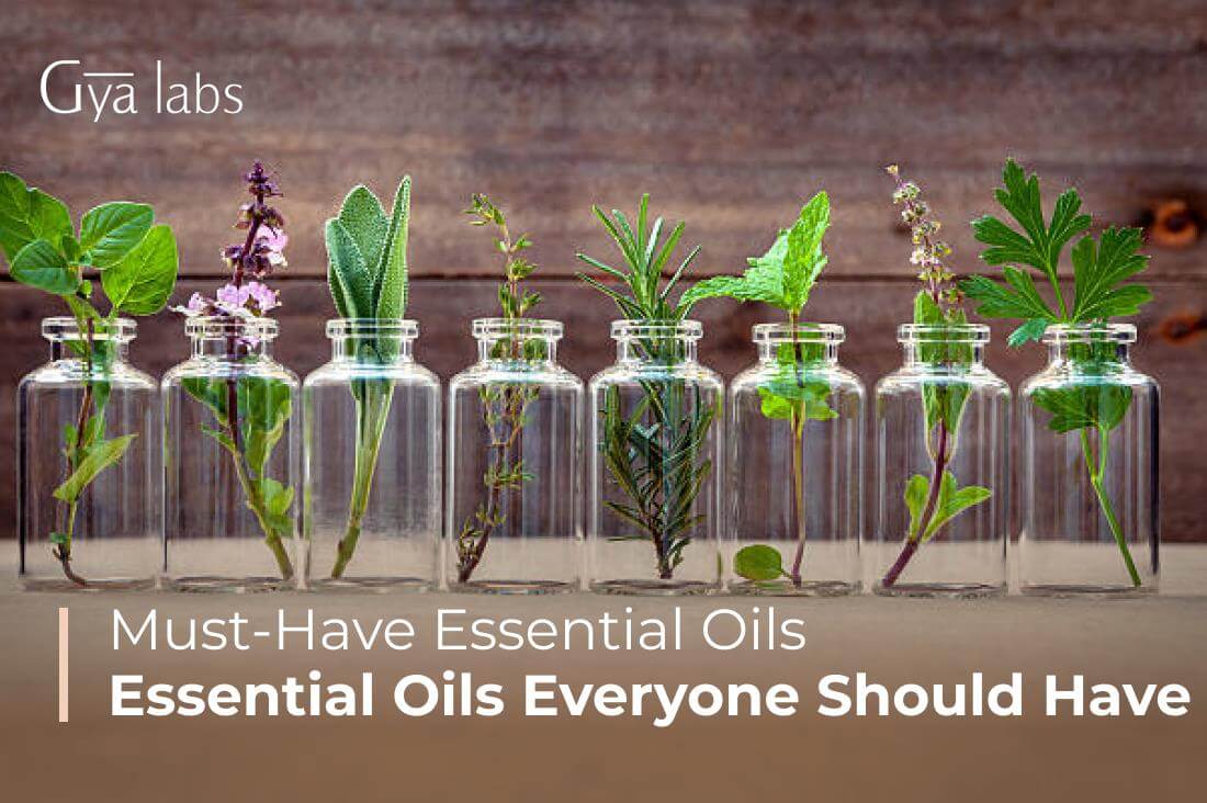 Must-Have Essential Oils - Essential Oils Everyone Should Have | GyaLabs