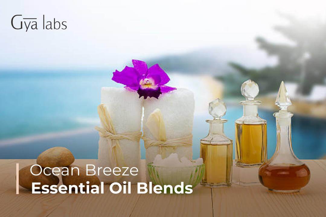 Ocean Breeze Essential Oil Blends | Beach Scent Essential Oil Recipes | GyaLabs