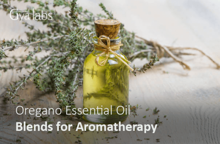 The Best Oregano Essential Oil Blends for Aromatherapy and Healing | GyaLabs