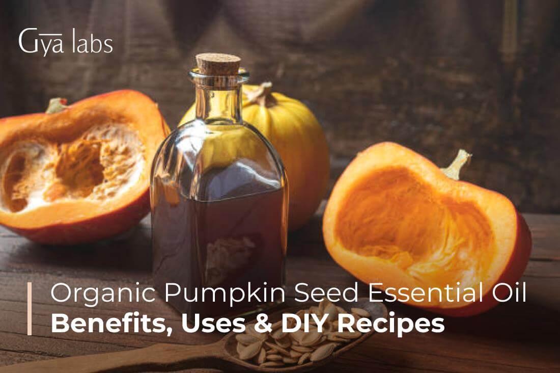 Benefits Of Pumpkin Seed Oil, Uses, And DIY Recipes