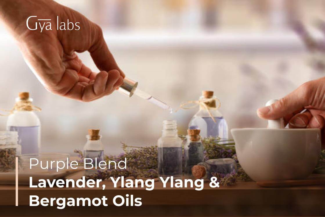 DIY Purple Blend: Enjoy calming blends with Lavender, Ylang Ylang, and Bergamot Oils | GyaLabs