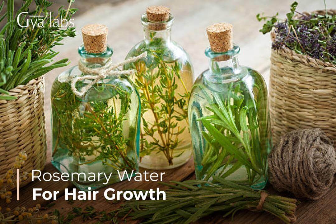 Complete Guide on Rosemary Water | Homemade Rosemary Water for Long and Healthy Hair | GyaLabs
