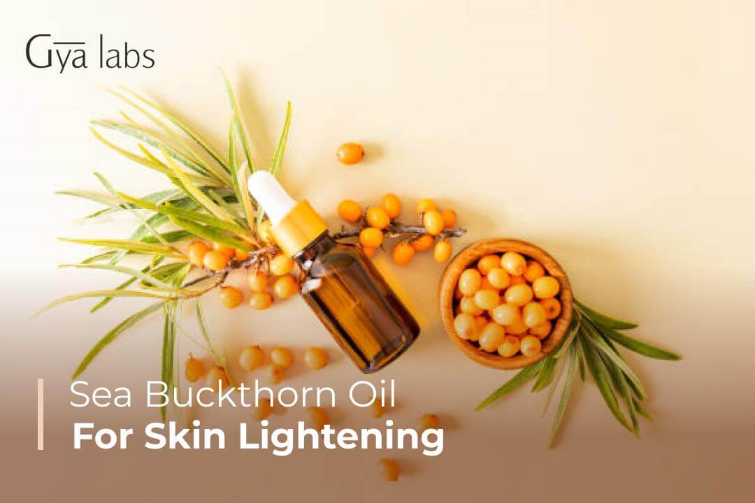 Use Sea Buckthorn Oil for Skin Lightening | GyaLabs