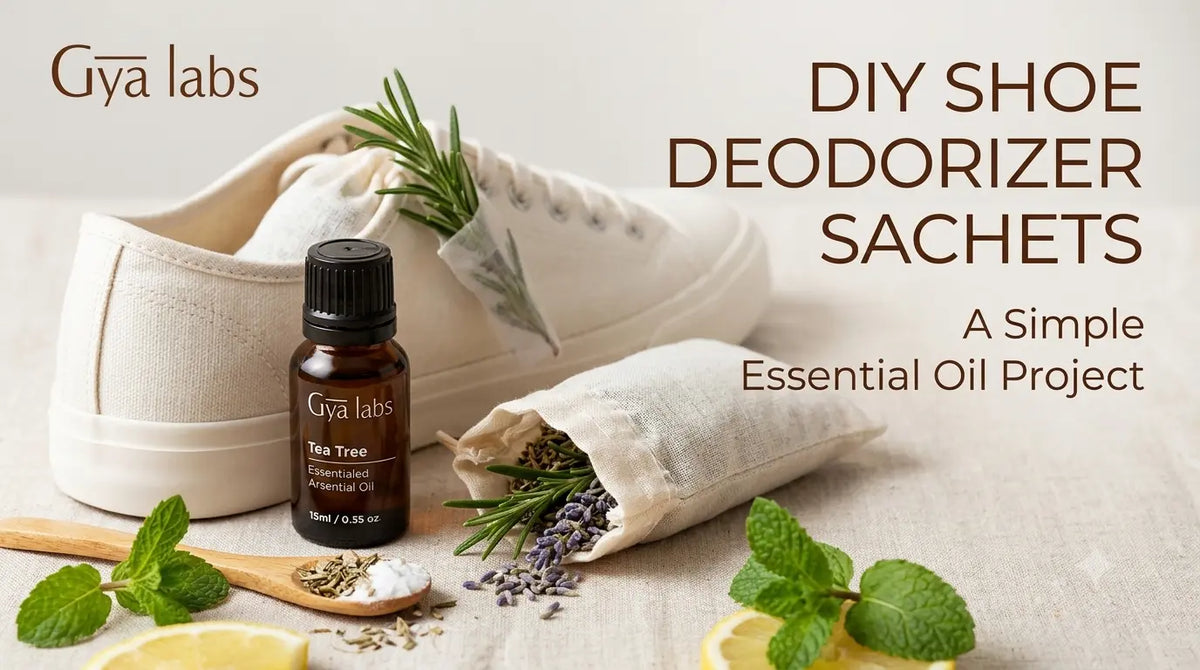 Shoe Deodorizer Sachets
