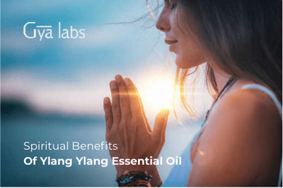 Spiritual Benefits of Ylang Ylang Essential Oil | GyaLabs