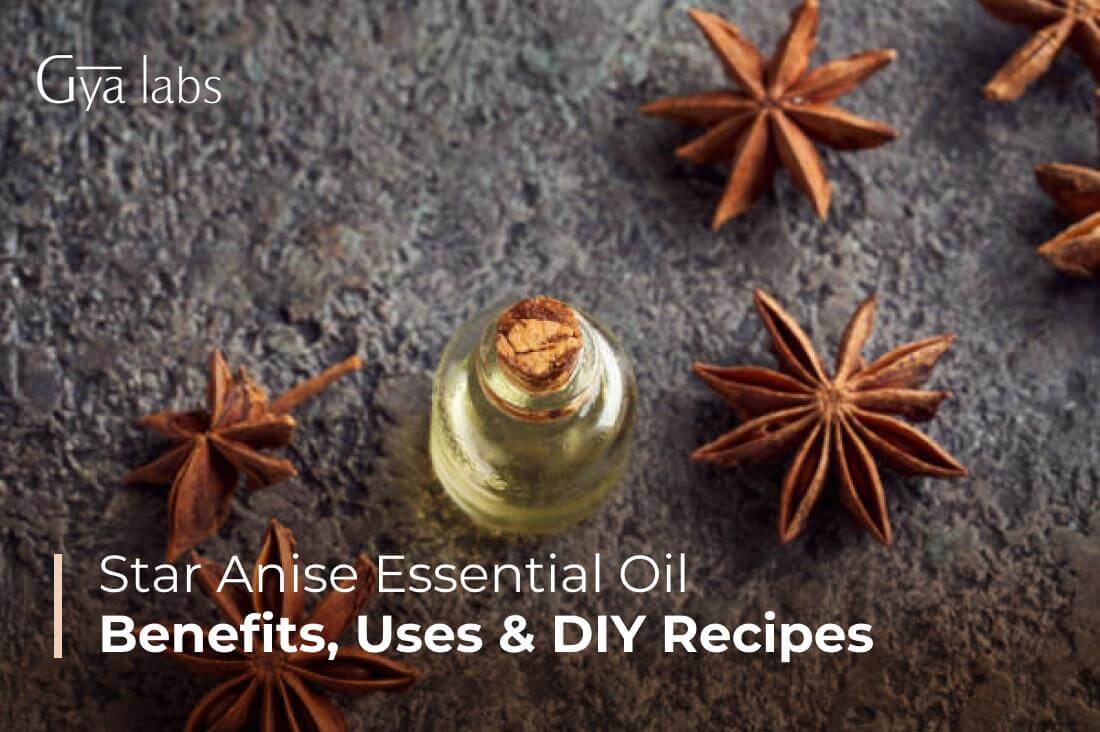 Star Anise Essential Oil Guide: Uses, Benefits And DIY Recipes | GyaLabs