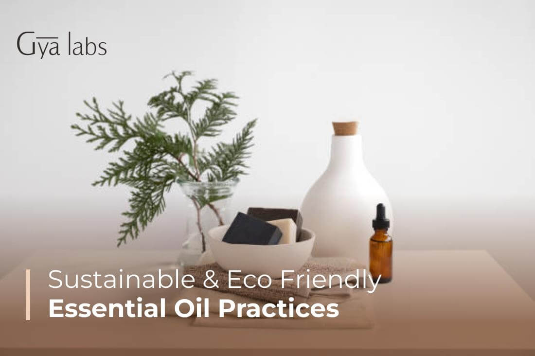 Sustainable and Eco-Friendly Essential Oil Practices | GyaLabs