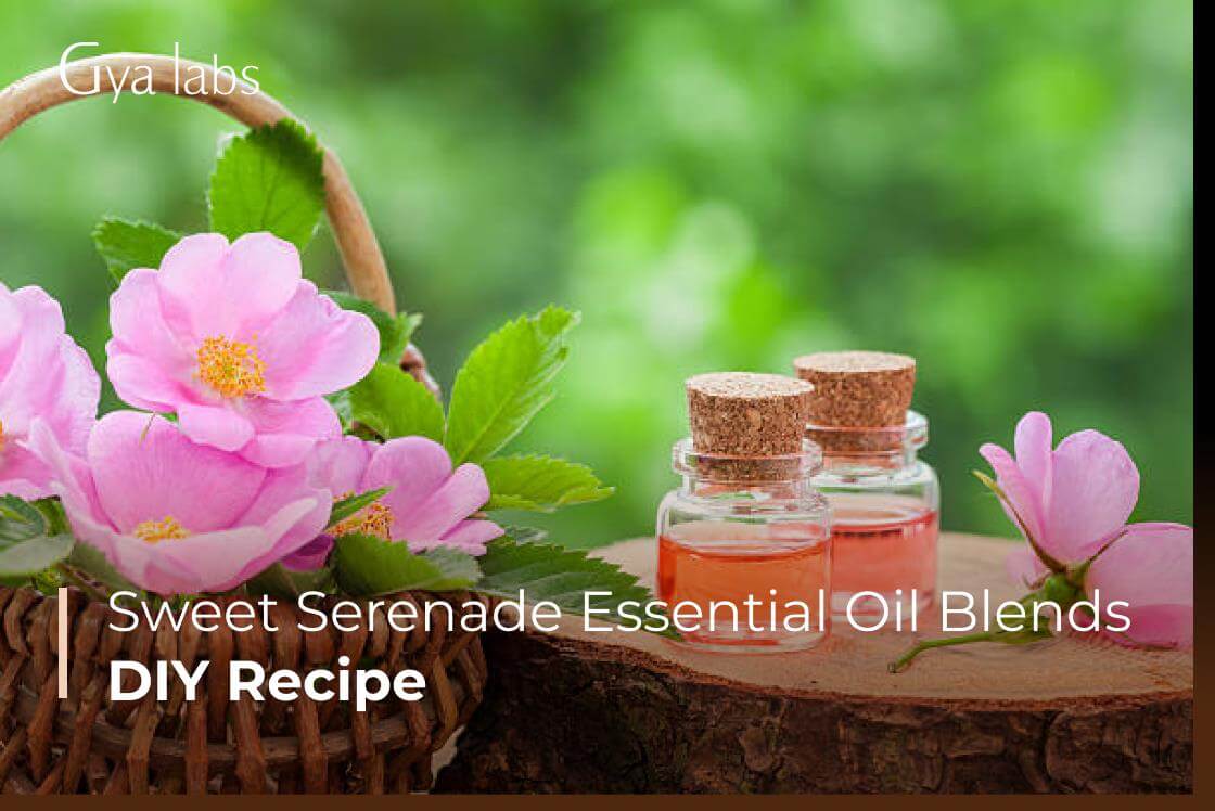 Unlock Peace: Sweet Serenade Essential Oil Blend | GyaLabs