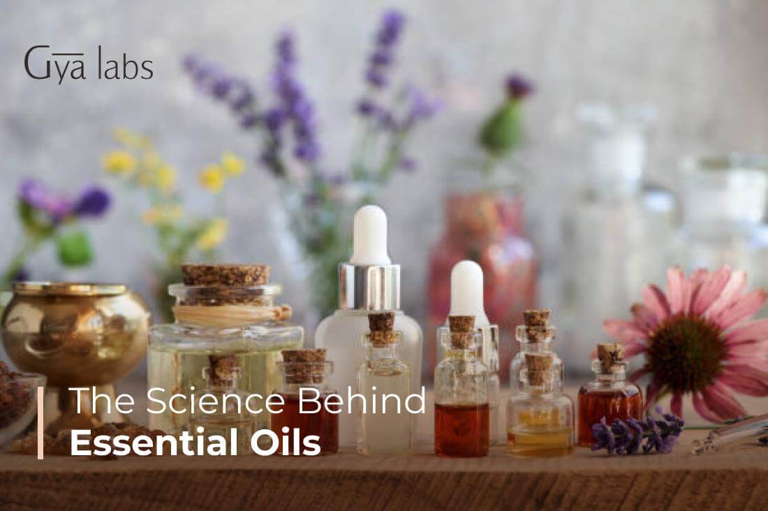 The Science Behind Essential Oils and Aromatherapy