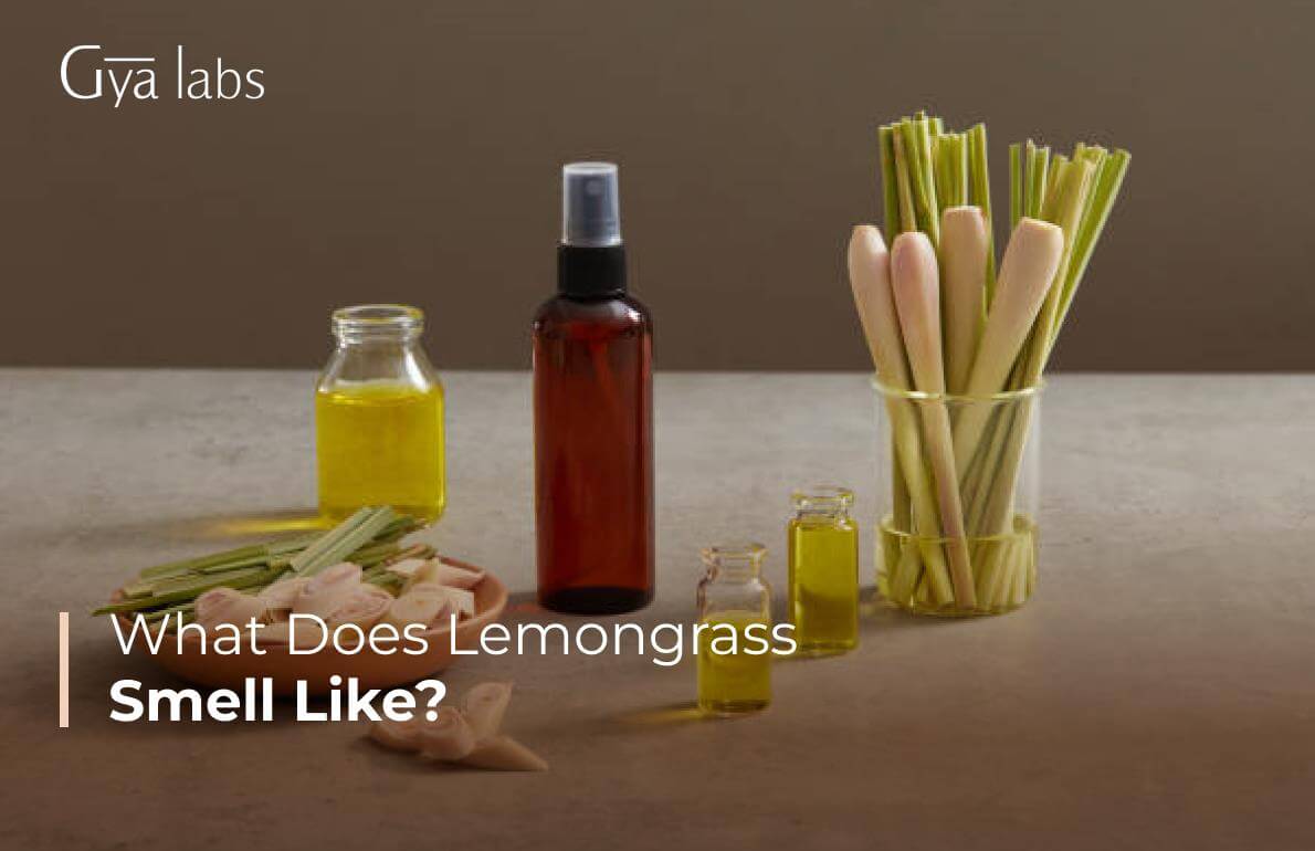 What Does Lemongrass Oil Smell Like? Understanding the Uses and Benefits of Lemongrass Essential Oil in Perfumery